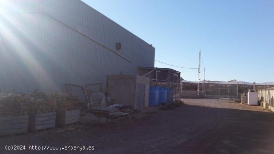 Nave con terreno en venta en El ejido, Tierras de Almería. - ALMERIA