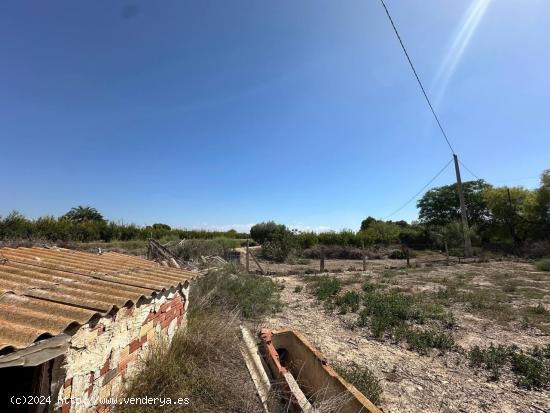  TERRENO CON CASA RUSTICA - ALICANTE 