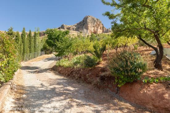 PARCELA EN COGOLLOS DE LA  VEGA - GRANADA