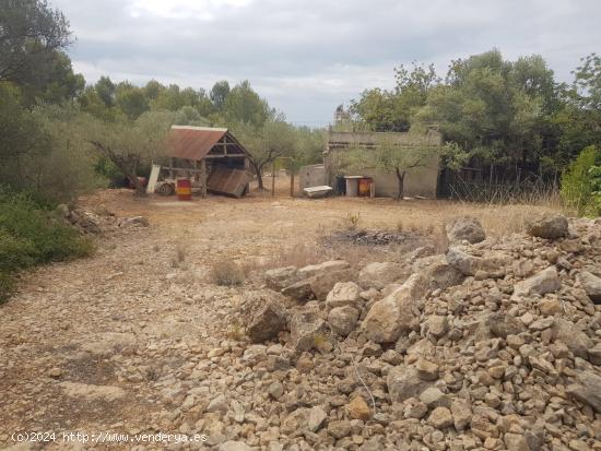  FINCA RÚSTICA de 5 HECTAREAS - TARRAGONA 