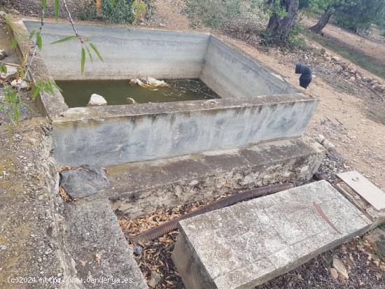 FINCA RÚSTICA DE 2,5 HECTÀREAS CON AGUA - TARRAGONA