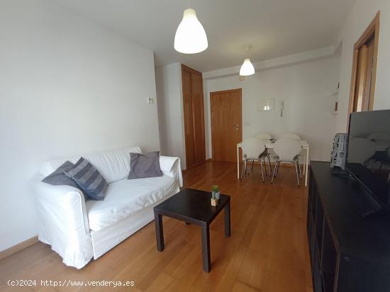 APARTAMENTO DE DOS DORMITORIOS CON GARAJE Y TRASTERO - PONTEVEDRA