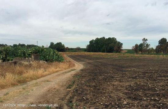 Se Vende en Alcala del Rio - SEVILLA