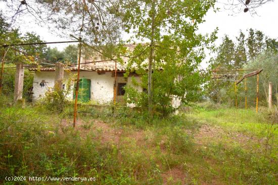 Finca rústica con casa de campo  y espectaculares vistas a la Tramuntana  en Muro - BALEARES