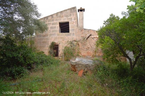 Finca rústica con casa de campo  y espectaculares vistas a la Tramuntana  en Muro - BALEARES