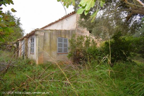 Finca rústica con casa de campo  y espectaculares vistas a la Tramuntana  en Muro - BALEARES