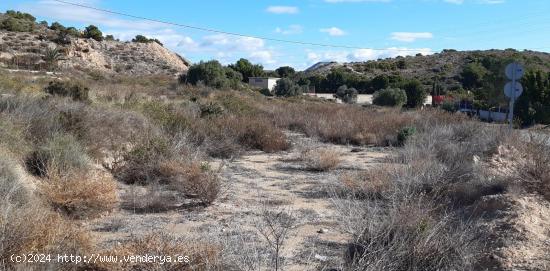  parcela  en polígono torrellano rustica - ALICANTE 