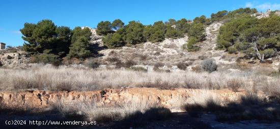 parcela  en polígono torrellano rustica - ALICANTE