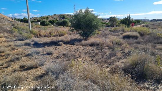 parcela  en polígono torrellano rustica - ALICANTE