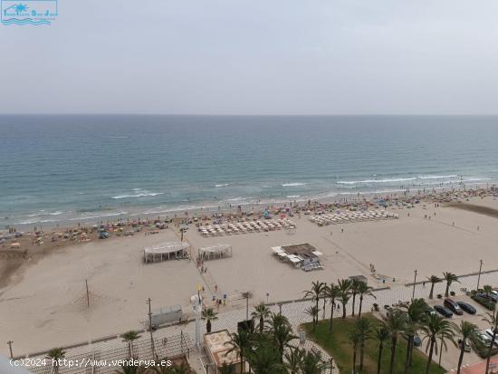 Piso de alquiler Septiembre a Juno primera linea playa de san juan - ALICANTE