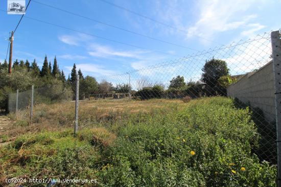  PARCELA CERCANA AL PUEBLO - VALENCIA 