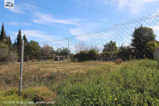 PARCELA CERCANA AL PUEBLO - VALENCIA