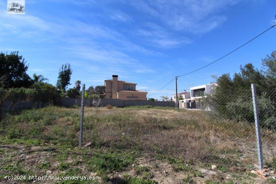 PARCELA CERCANA AL PUEBLO - VALENCIA