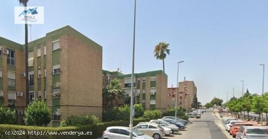  VENTA PISO EN CASTILLEJA DE LA CUESTA - SEVILLA - SEVILLA 