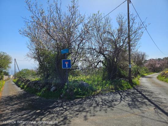 Terreno rural en La Esperanza, Tenerife - SANTA CRUZ DE TENERIFE