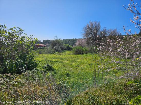 Terreno rural en La Esperanza, Tenerife - SANTA CRUZ DE TENERIFE