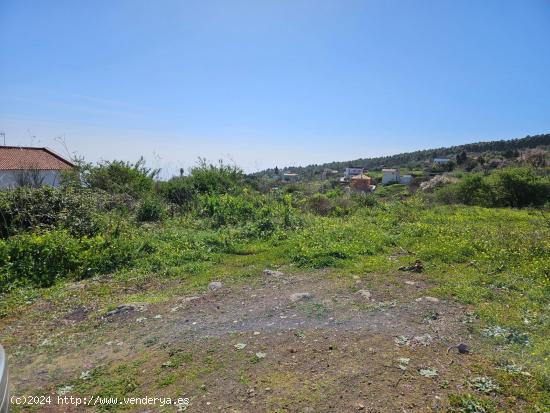 Terreno cerca de Camino del Centro en La Esperanza - SANTA CRUZ DE TENERIFE