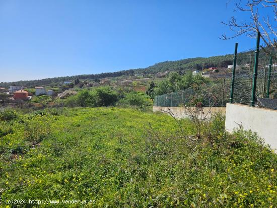 Terreno cerca de Camino del Centro en La Esperanza - SANTA CRUZ DE TENERIFE