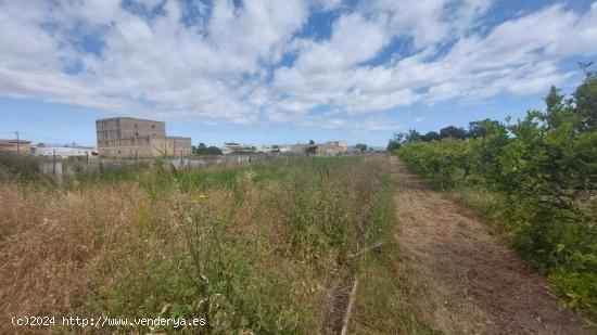 ¡No te lo Pierdas! 2049 m² de Terreno Mixto en Deltebre - TARRAGONA