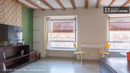 Apartamento de 1 dormitorio en alquiler en Lavapiés - MADRID