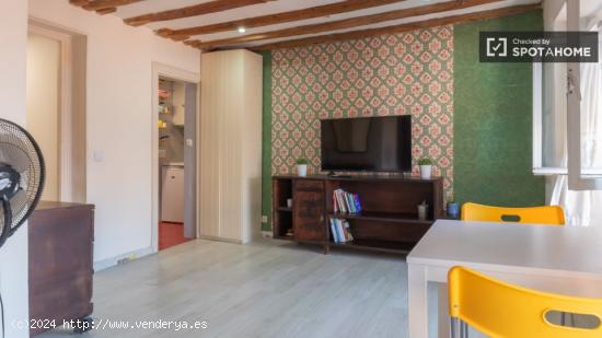 Apartamento de 1 dormitorio en alquiler en Lavapiés - MADRID