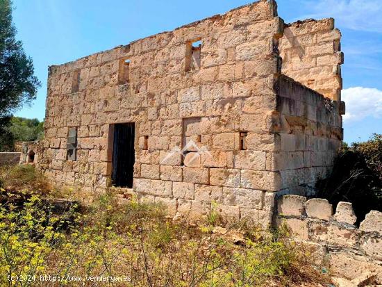 Terreno de 14.038 m2 con proyecto de vivienda y piscina en Manacor - BALEARES