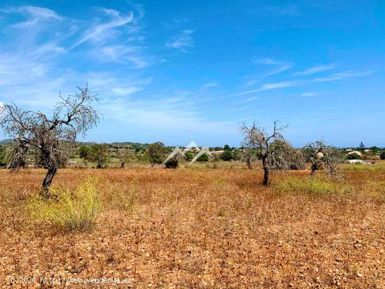 Terreno de 14.038 m2 con proyecto de vivienda y piscina en Manacor - BALEARES