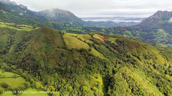 Terreno + inmueble en venta en Vía, 637 - ASTURIAS