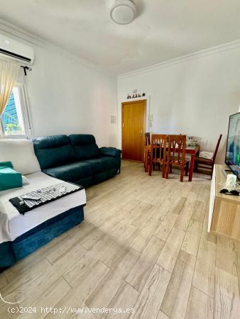  Apartamento de 3 Dormitorios Recién Reformado en Ciudad Jardín, Málaga - MALAGA 