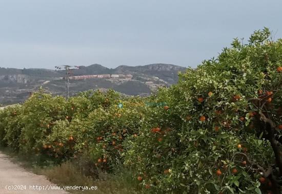 Terreno en venta en Pego - ALICANTE