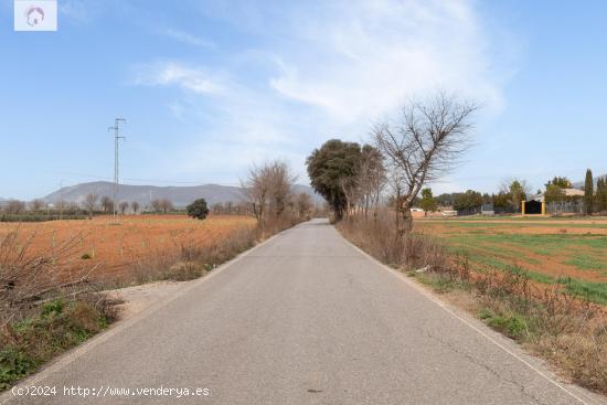 Finca rústica de regadío en Albolote - GRANADA