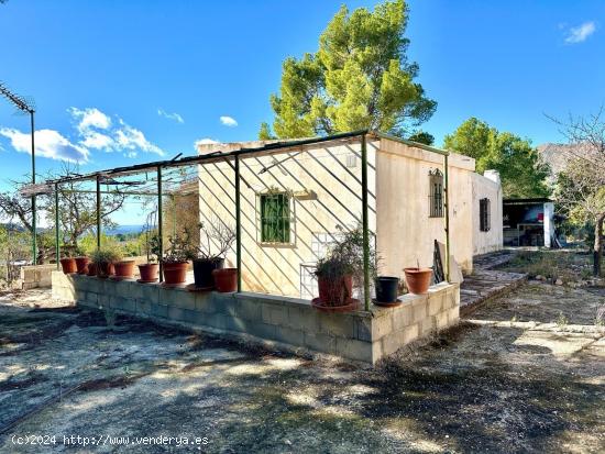 ESTUPENDA CASA INDEPENDIENTE DE 2 DORMITORIOS EN BUSOT - ALICANTE