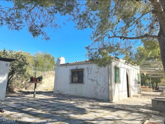 ESTUPENDA CASA INDEPENDIENTE DE 2 DORMITORIOS EN BUSOT - ALICANTE