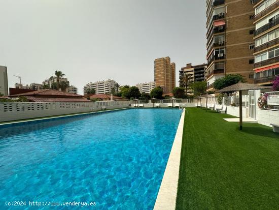 FABULOSA VIVIENDA DE 2 HABITACIONES EN PLAYA DE SAN JUAN, ALICANTE - ALICANTE