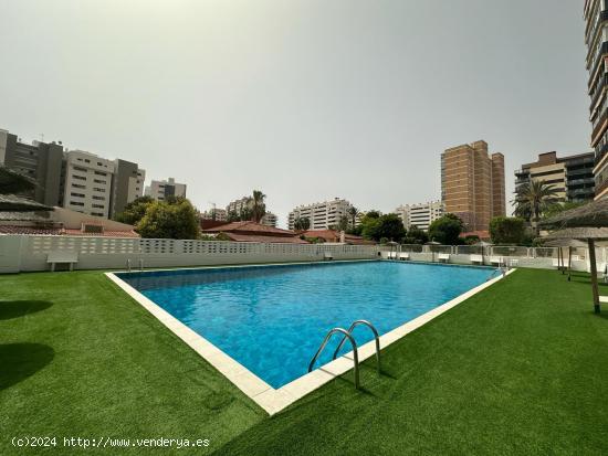 FABULOSA VIVIENDA DE 2 HABITACIONES EN PLAYA DE SAN JUAN, ALICANTE - ALICANTE