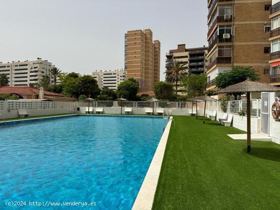 FABULOSA VIVIENDA DE 2 HABITACIONES EN PLAYA DE SAN JUAN, ALICANTE - ALICANTE