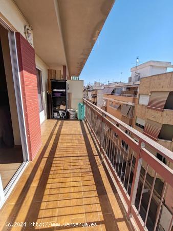 MAGNÍFICA VIVIENDA DE UNA HABITACIÓN, EN CAROLINAS BAJAS. - ALICANTE