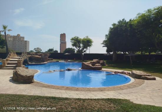 FANTÁSTICA VIVIENDA DE 2 HABITACIONES EN LA PLAYA MUCHAVISTA, EL CAMPELLO. - ALICANTE