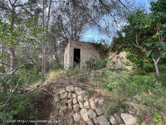 Suelo rústico en venta  en Catllar, El - Tarragona