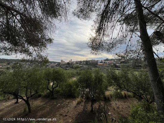 Suelo rústico en venta  en Catllar, El - Tarragona