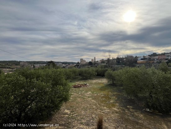 Suelo rústico en venta  en Catllar, El - Tarragona