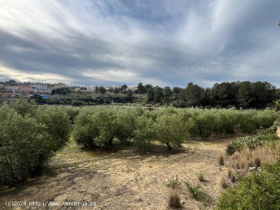 Suelo rústico en venta  en Catllar, El - Tarragona