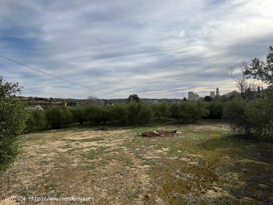 Suelo rústico en venta  en Catllar, El - Tarragona