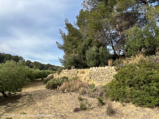 Suelo rústico en venta  en Catllar, El - Tarragona