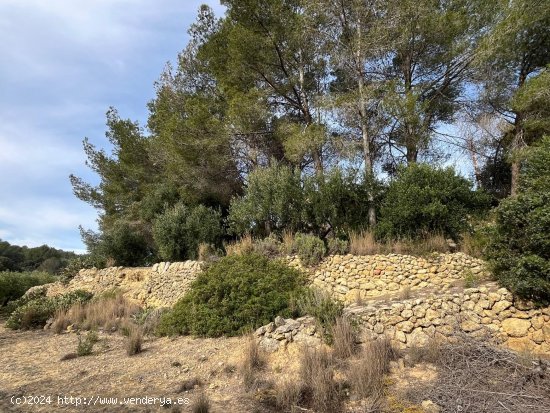 Suelo rústico en venta  en Catllar, El - Tarragona