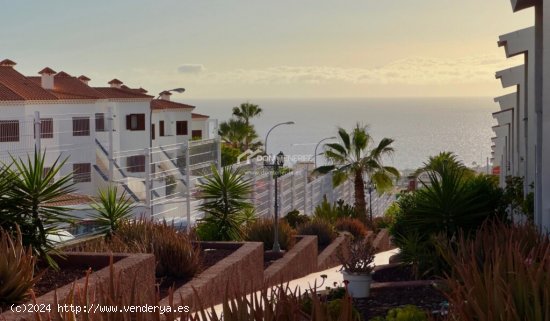 Apartamento en Venta en Adeje Santa Cruz de Tenerife