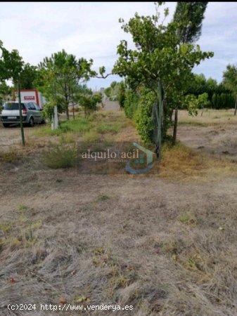 SE VENDE PARCELA RUSTICA EN CASICA OREA EN CARRETERA DE JAEN KM 5 / 2800 METROS/ PEQUEÑA CASA/ 8000