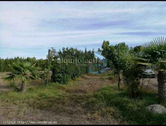 SE VENDE PARCELA RUSTICA EN CASICA OREA EN CARRETERA DE JAEN KM 5 / 2800 METROS/ PEQUEÑA CASA/ 8000