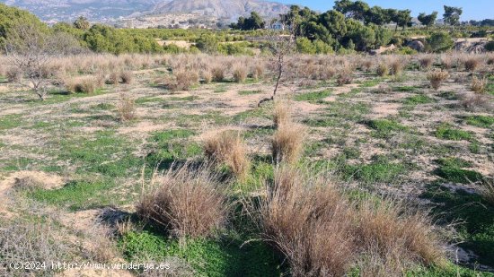 Terreno de 8000m2 con agua de riego, cerca de Villajoyosa.