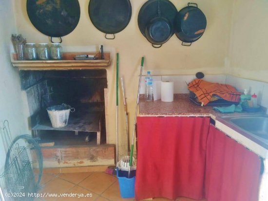 TERRENO RÚSTICO CON ALMENDROS Y CASA DE CAMPO.